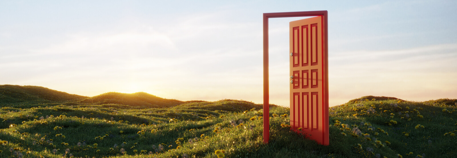 A door standing in an empty field